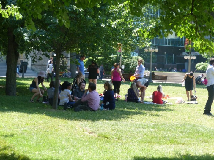 UNADJUSTEDNONRAW_thumb_6929